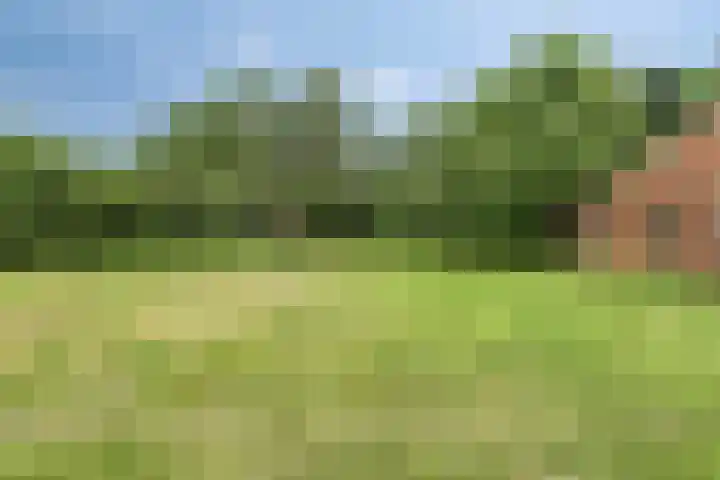 1e Pallertweg 16 Bourtange thumbnail 28