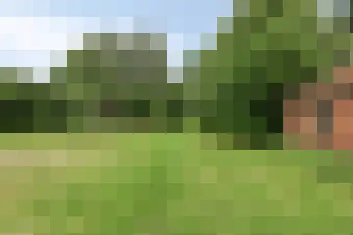 1e Pallertweg 16 Bourtange thumbnail 30