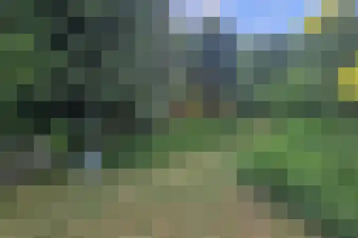 1e Pallertweg 16 Bourtange thumbnail 31