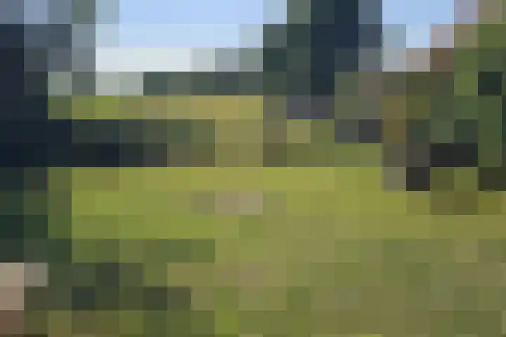 1e Pallertweg 16 Bourtange thumbnail 32