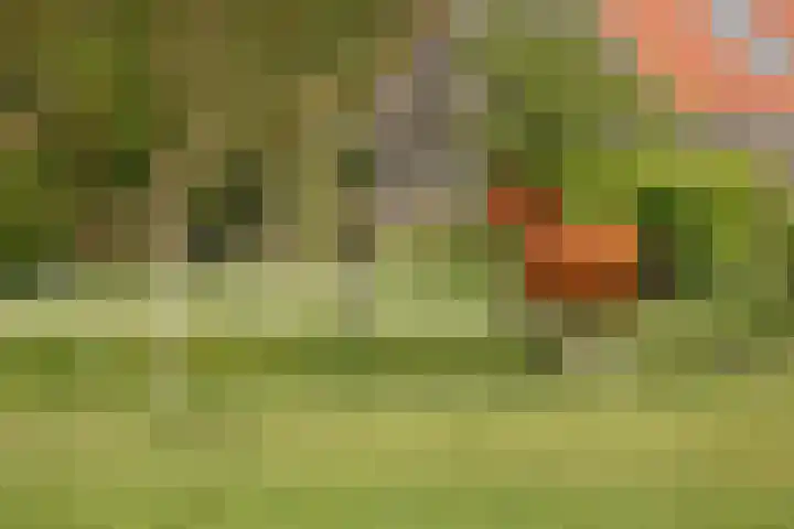 1e Pallertweg 16 Bourtange thumbnail 33