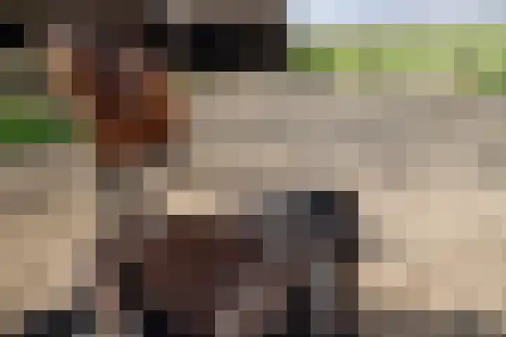 1e Pallertweg 16 Bourtange thumbnail 34