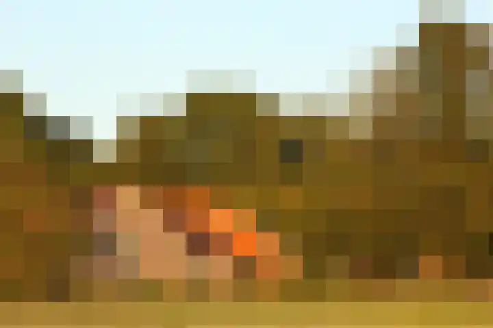 1e Pallertweg 16 Bourtange thumbnail 35