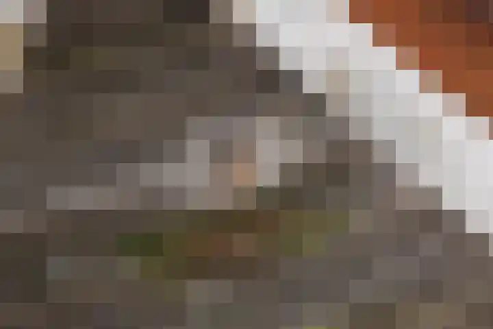 1e Pallertweg 16 Bourtange thumbnail 36