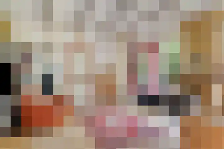 1e Pallertweg 16 Bourtange thumbnail 38