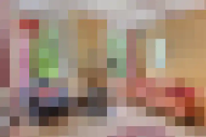 1e Pallertweg 16 Bourtange thumbnail 39