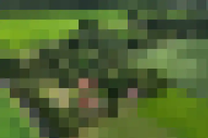 1e Pallertweg 16 Bourtange thumbnail 4
