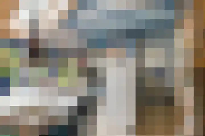 1e Pallertweg 16 Bourtange thumbnail 43