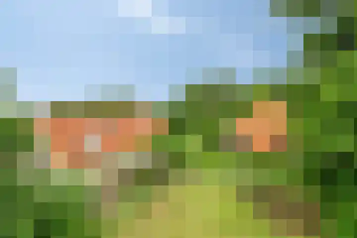 1e Pallertweg 16 Bourtange thumbnail 5