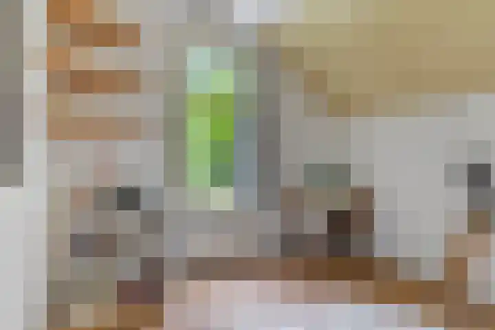 1e Pallertweg 16 Bourtange thumbnail 51
