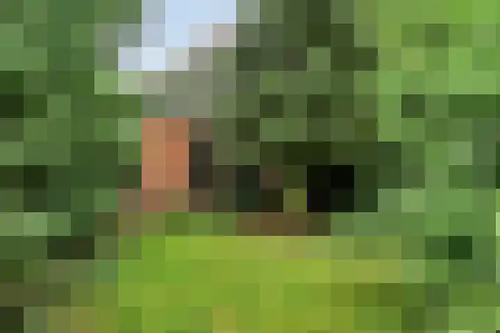 1e Pallertweg 16 Bourtange thumbnail 6