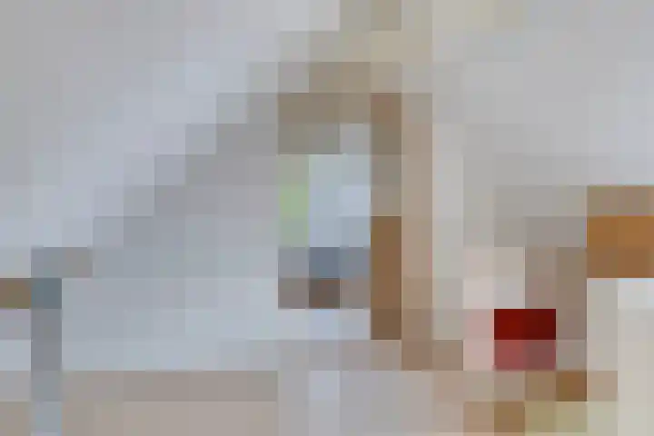 1e Pallertweg 16 Bourtange thumbnail 62