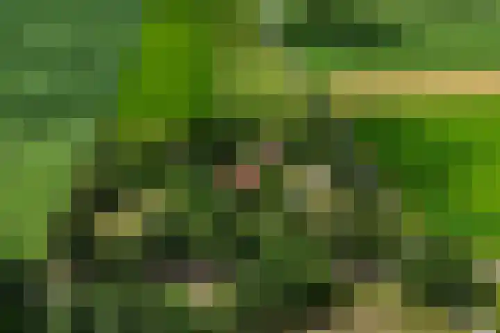 1e Pallertweg 16 Bourtange thumbnail 69