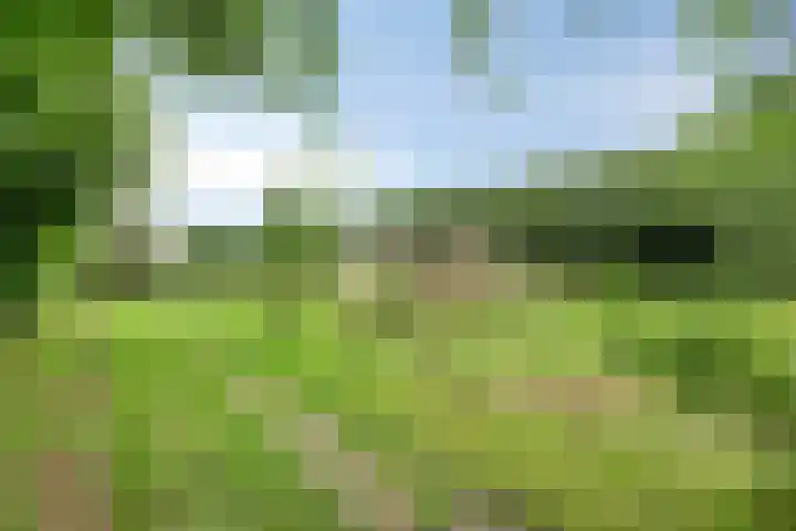 1e Pallertweg 16 Bourtange thumbnail 8