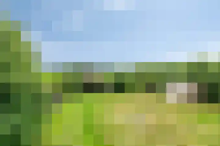 1e Pallertweg 16 Bourtange thumbnail 9
