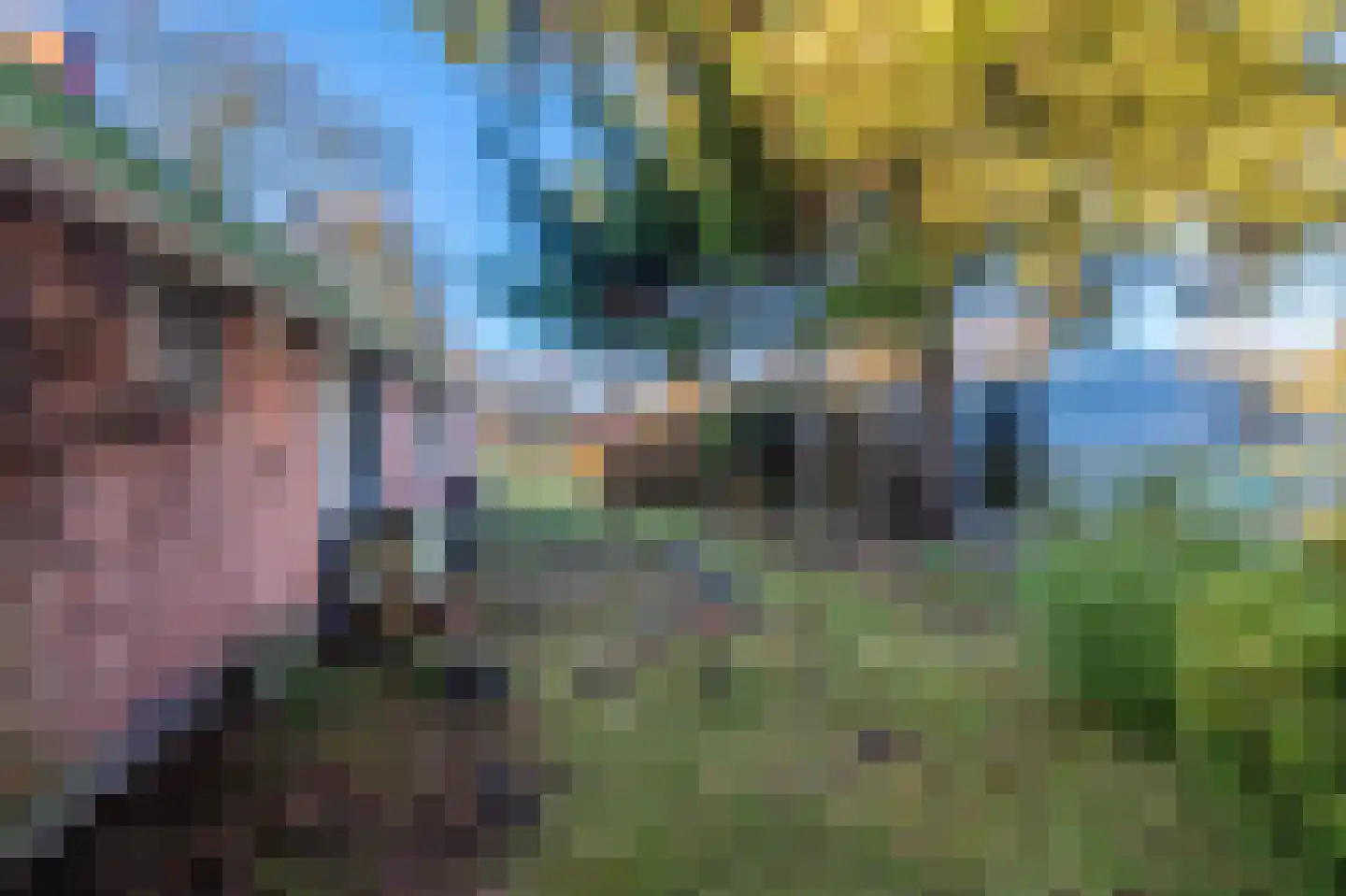 1e Pallertweg 23 Bourtange thumbnail 11