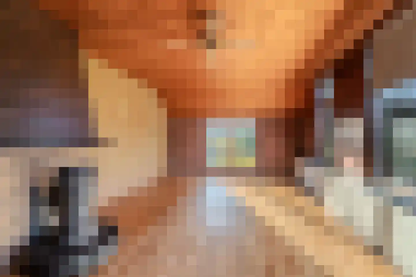 1e Pallertweg 23 Bourtange thumbnail 17