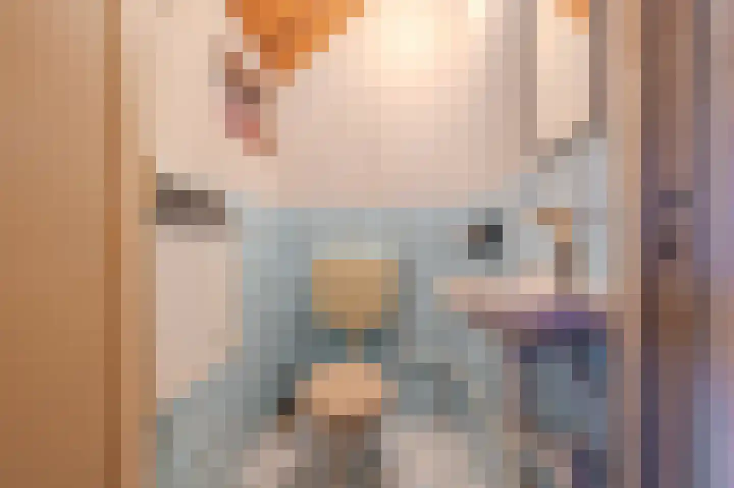 1e Pallertweg 23 Bourtange thumbnail 22