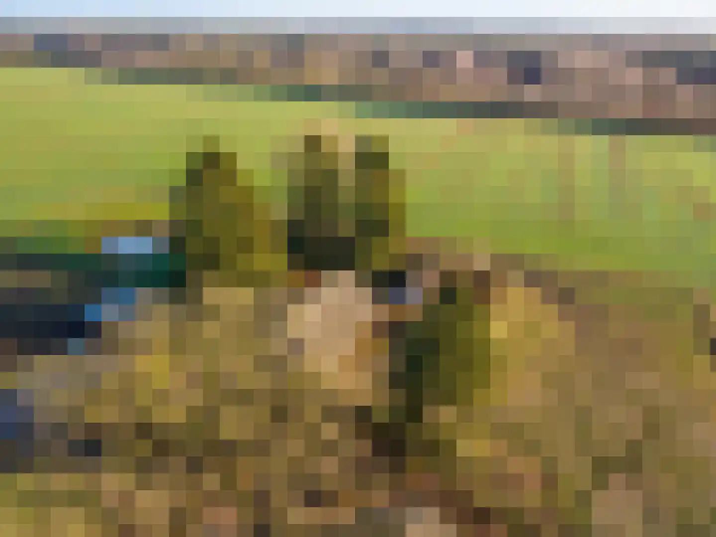 1e Pallertweg 23 Bourtange thumbnail 4