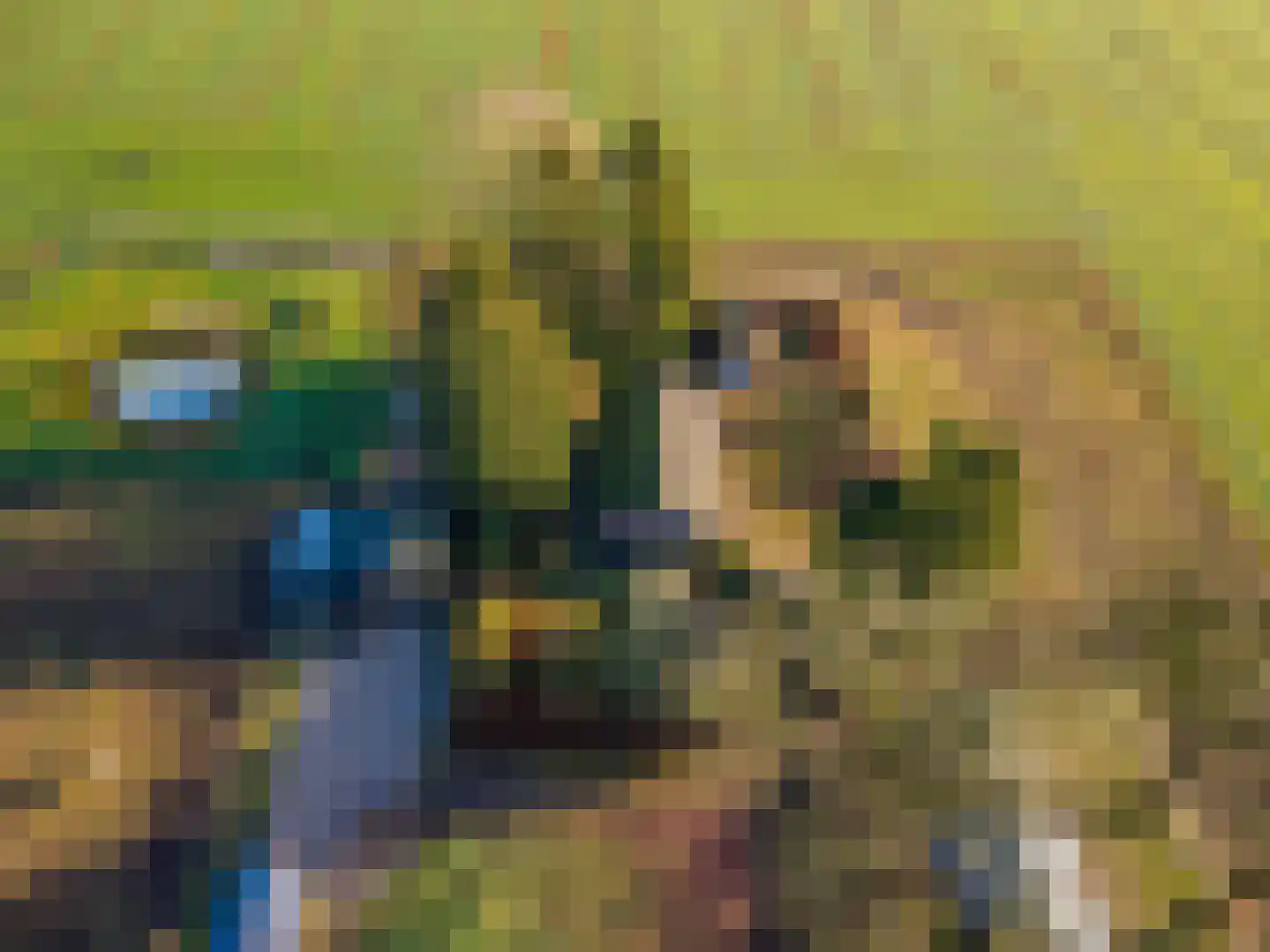 1e Pallertweg 23 Bourtange thumbnail 5