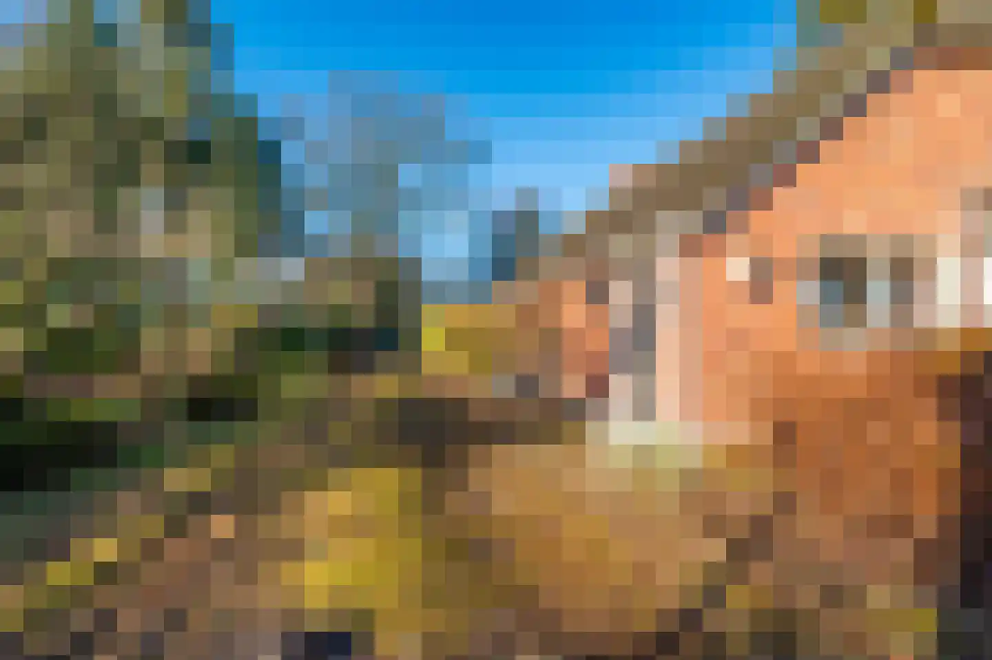 1e Pallertweg 23 Bourtange thumbnail 6