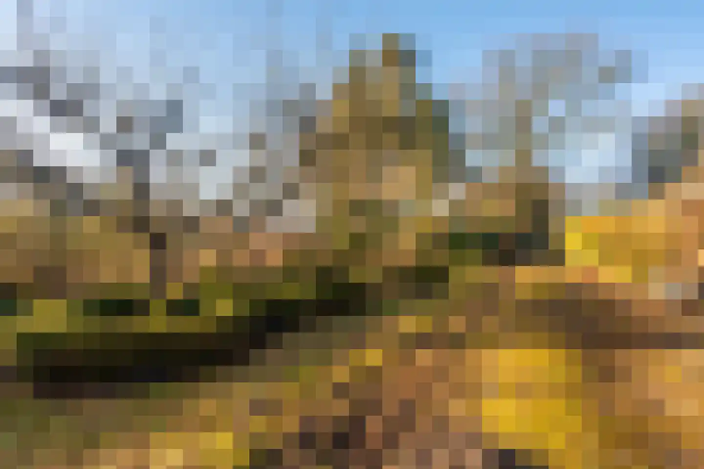 1e Pallertweg 23 Bourtange thumbnail 7