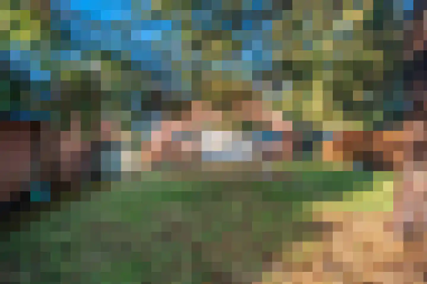 1e Pallertweg 23 Bourtange thumbnail 8