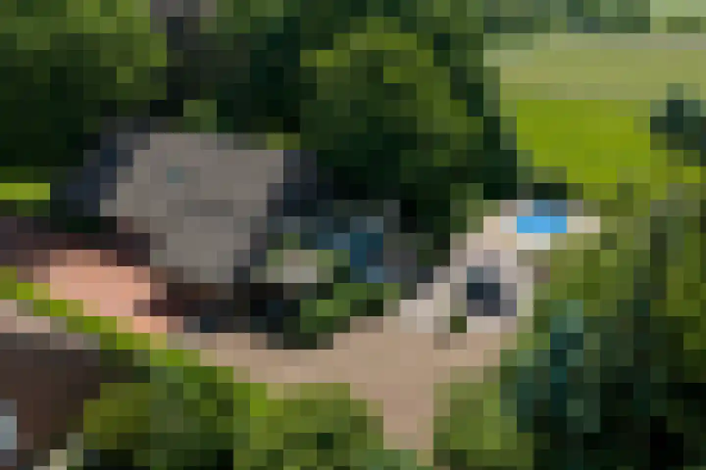 1e Pallertweg 24 Bourtange thumbnail 100