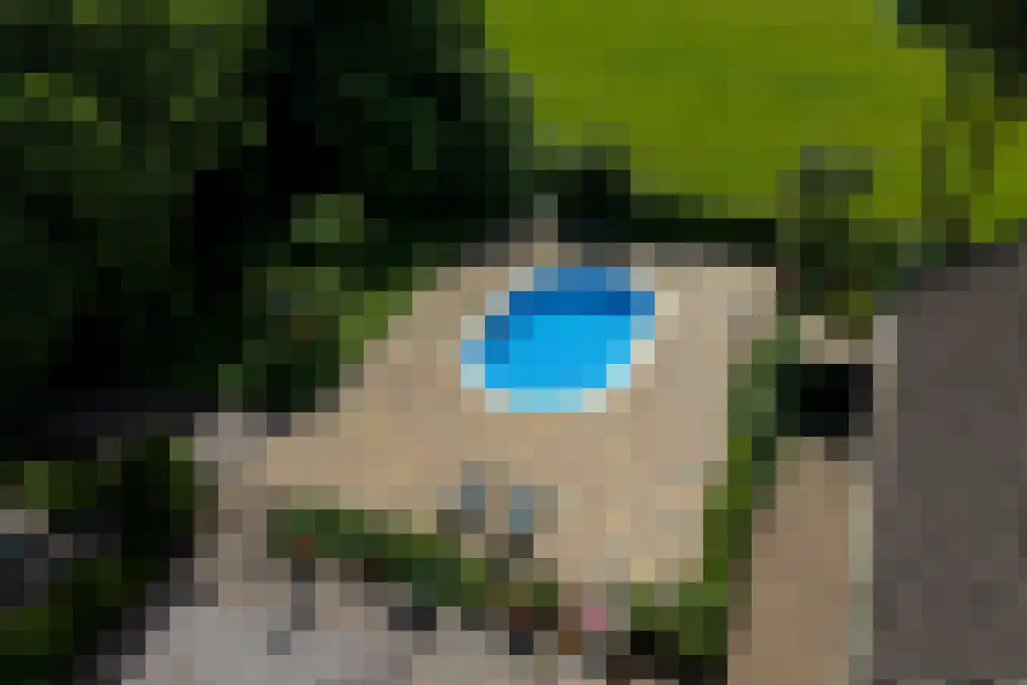 1e Pallertweg 24 Bourtange thumbnail 101