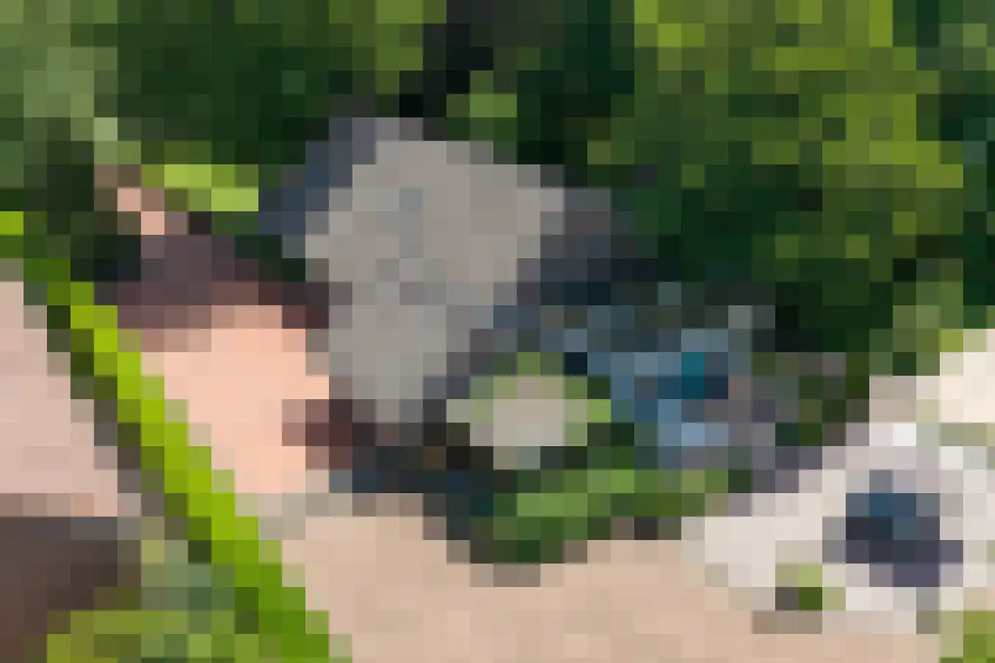 1e Pallertweg 24 Bourtange thumbnail 102