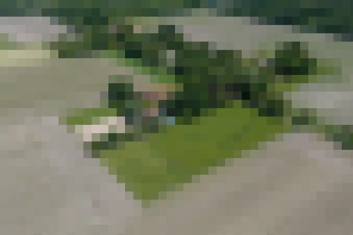 1e Pallertweg 24 Bourtange thumbnail 104