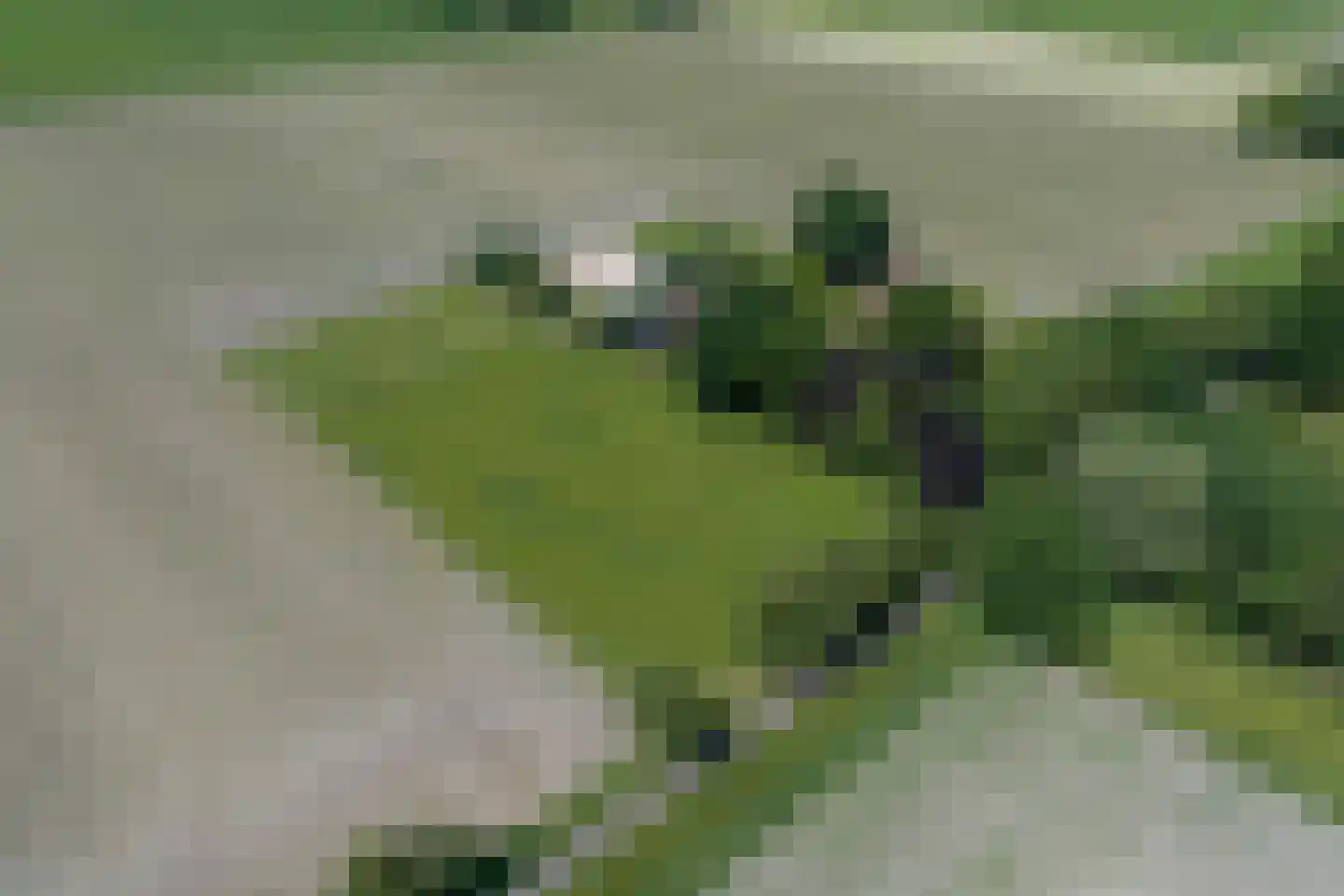 1e Pallertweg 24 Bourtange thumbnail 108
