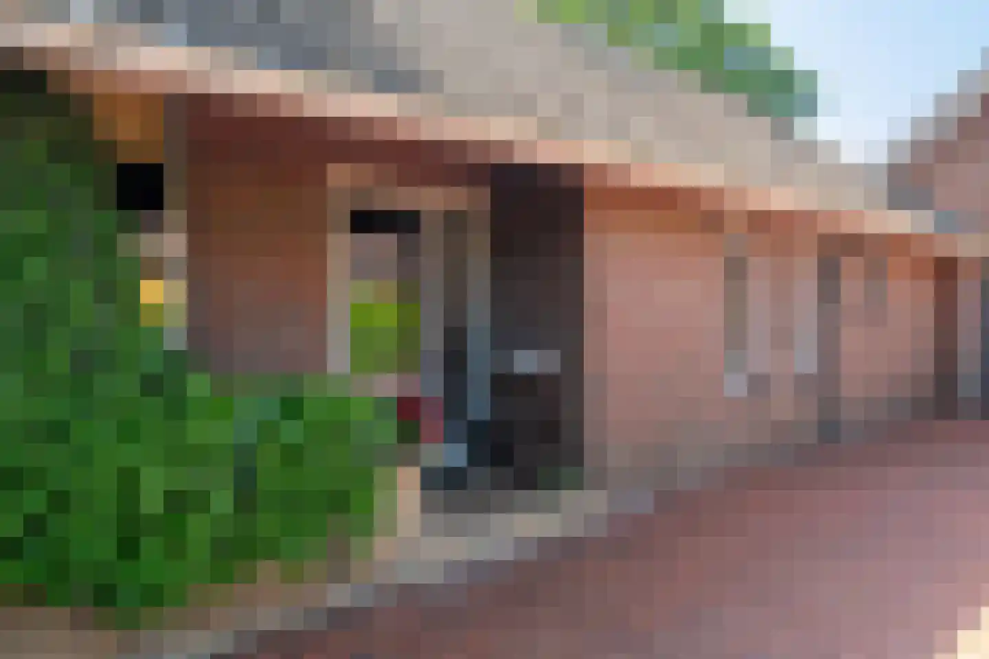 1e Pallertweg 24 Bourtange thumbnail 11