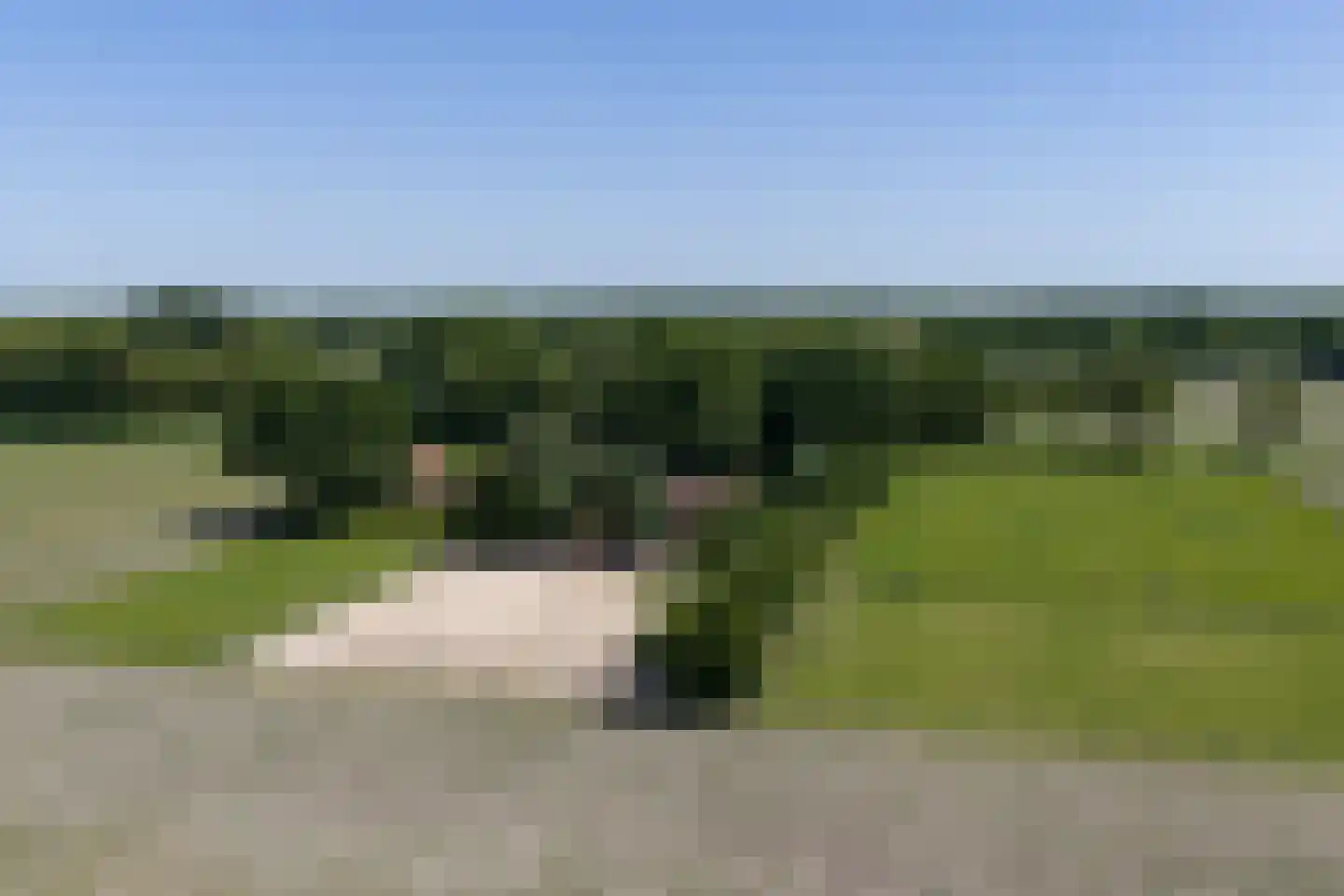 1e Pallertweg 24 Bourtange thumbnail 111