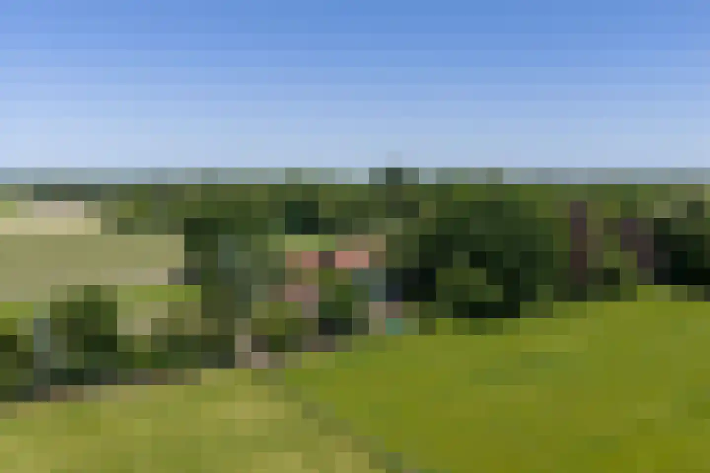 1e Pallertweg 24 Bourtange thumbnail 113