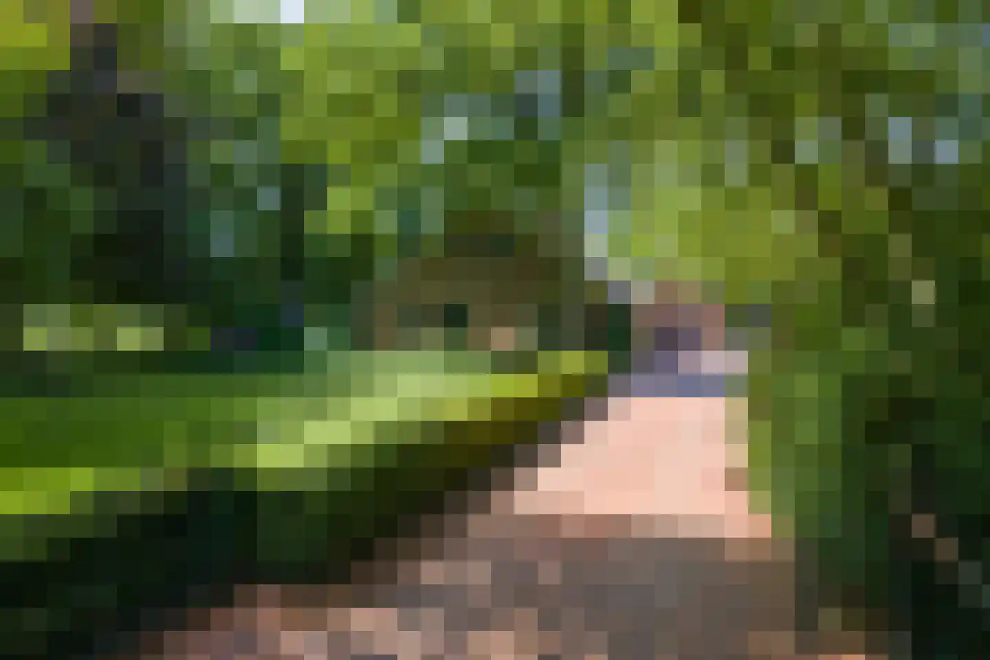 1e Pallertweg 24 Bourtange thumbnail 114