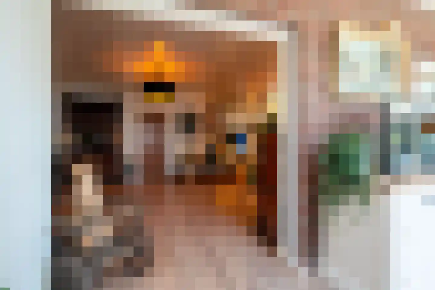 1e Pallertweg 24 Bourtange thumbnail 25