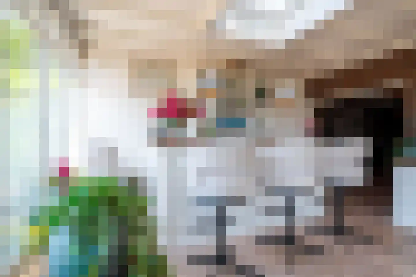 1e Pallertweg 24 Bourtange thumbnail 30