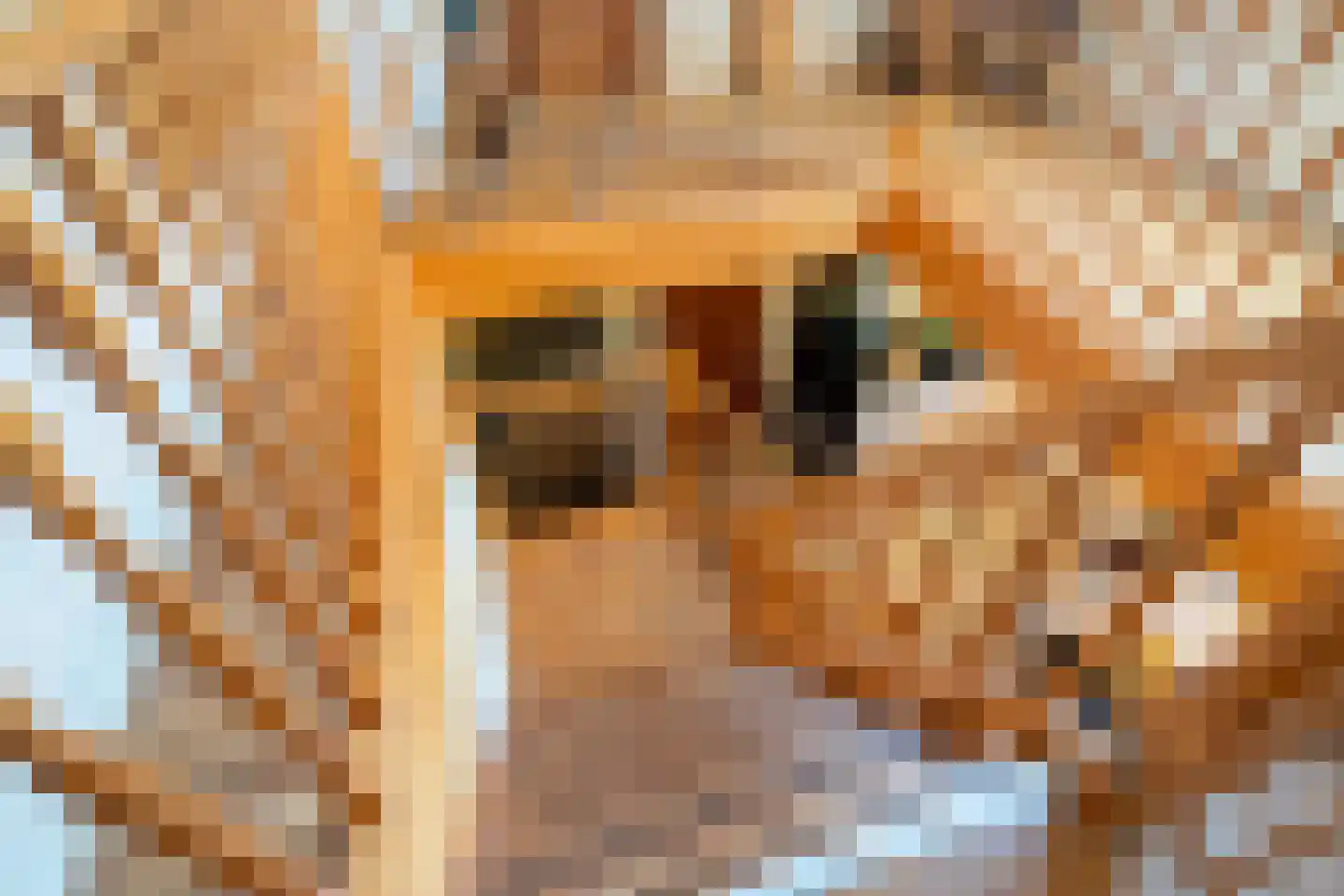 1e Pallertweg 24 Bourtange thumbnail 37