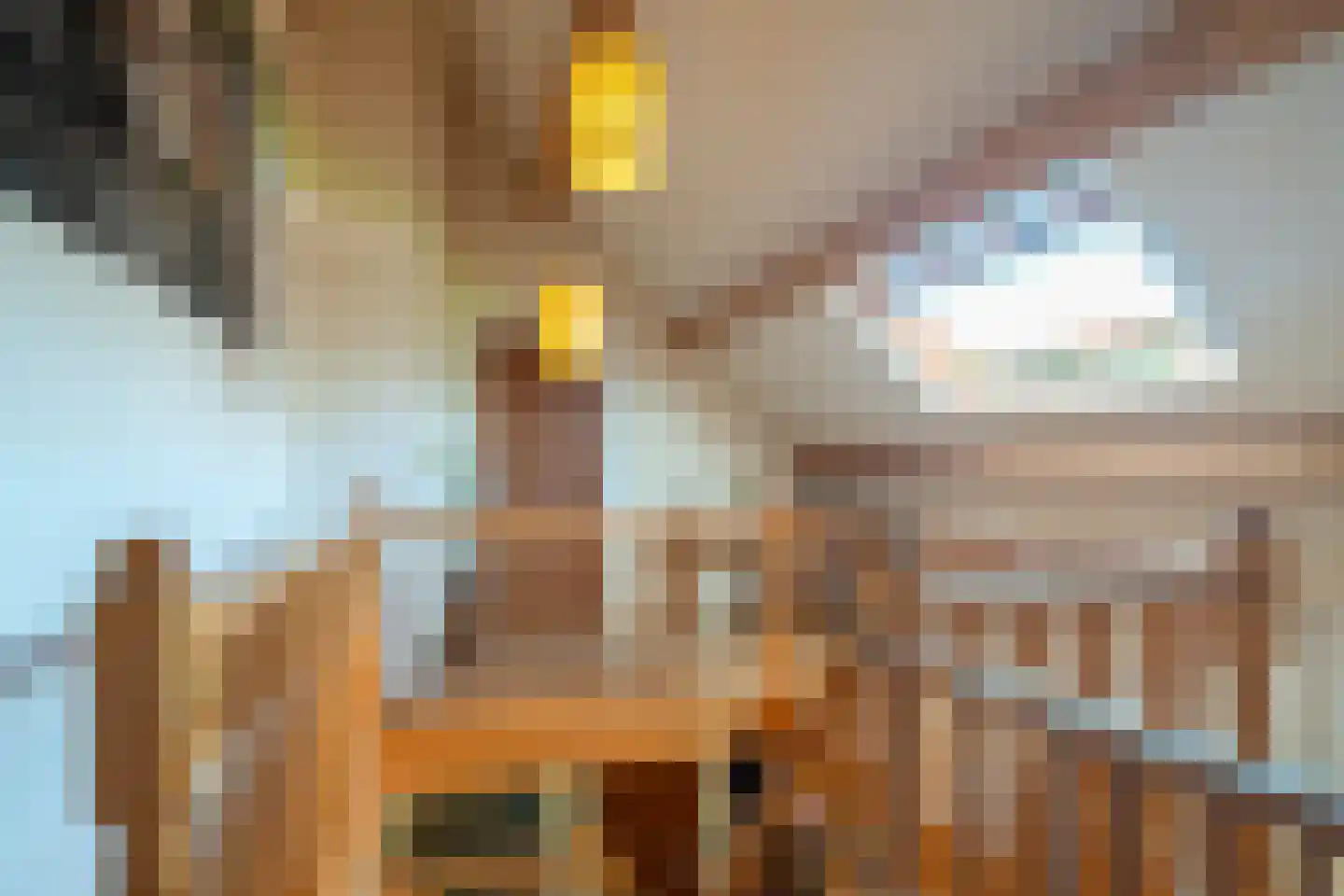 1e Pallertweg 24 Bourtange thumbnail 38