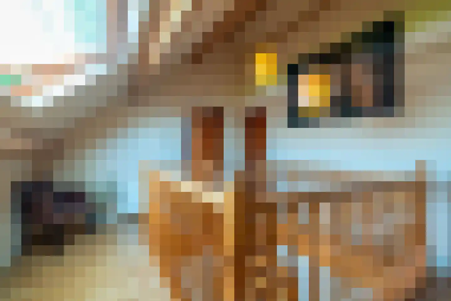 1e Pallertweg 24 Bourtange thumbnail 39