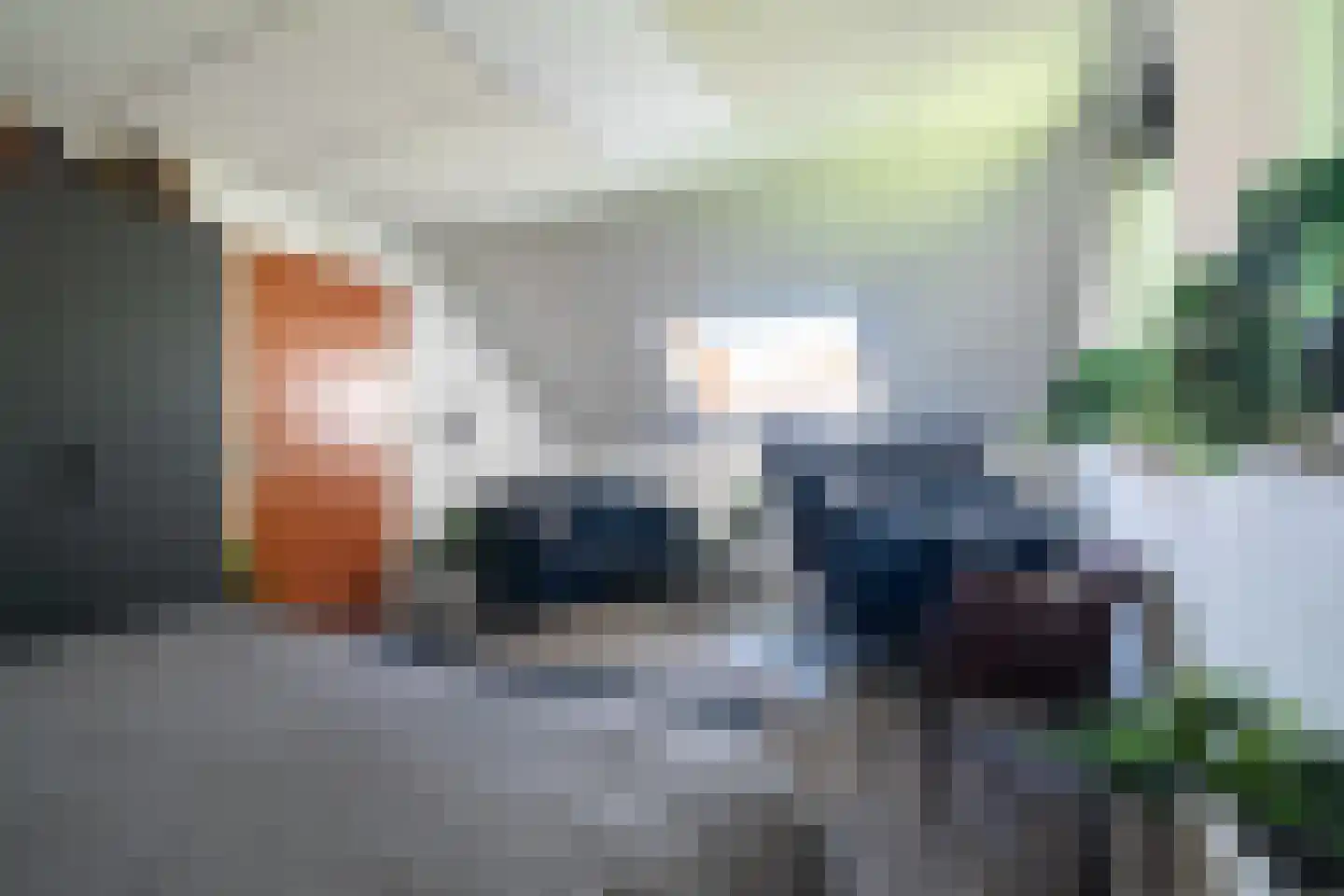 1e Pallertweg 24 Bourtange thumbnail 41