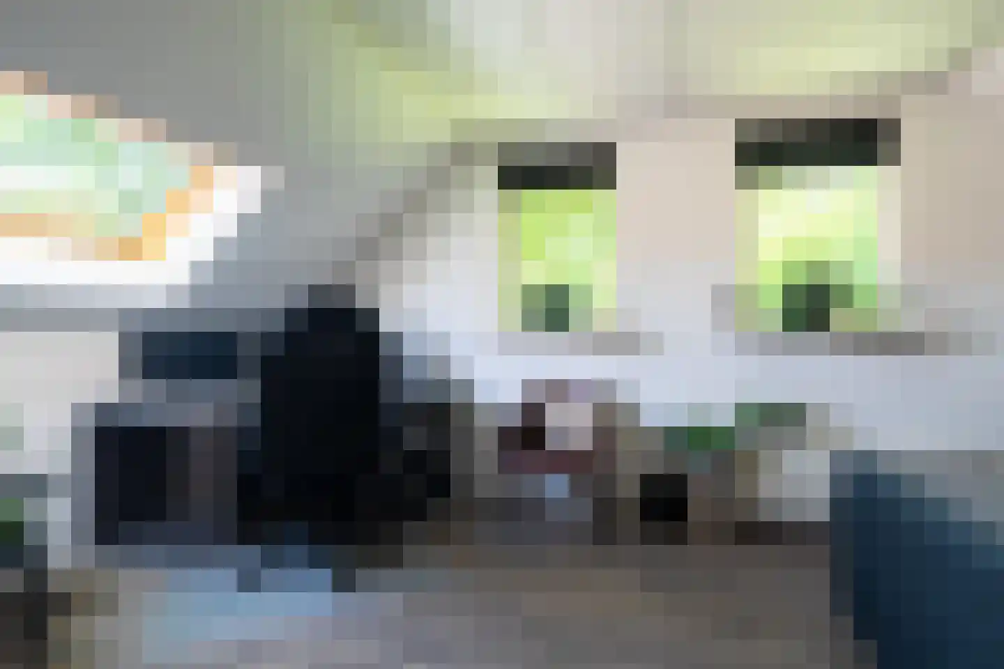1e Pallertweg 24 Bourtange thumbnail 42