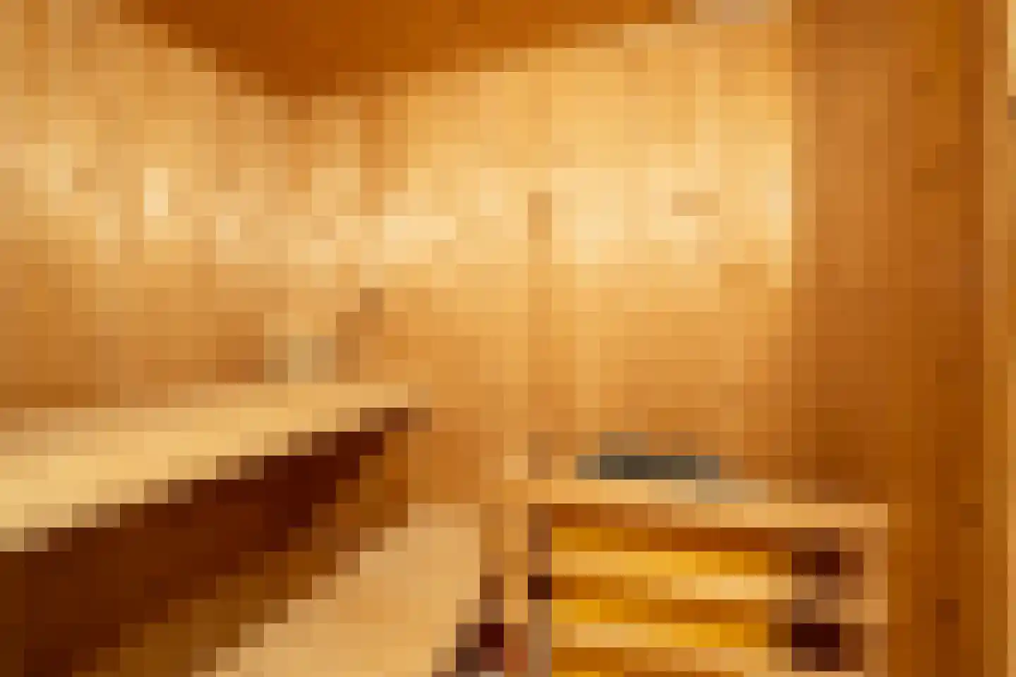 1e Pallertweg 24 Bourtange thumbnail 53