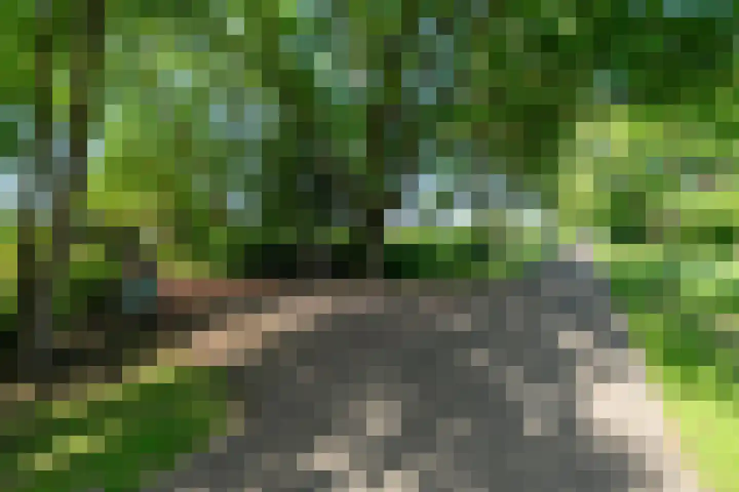 1e Pallertweg 24 Bourtange thumbnail 6