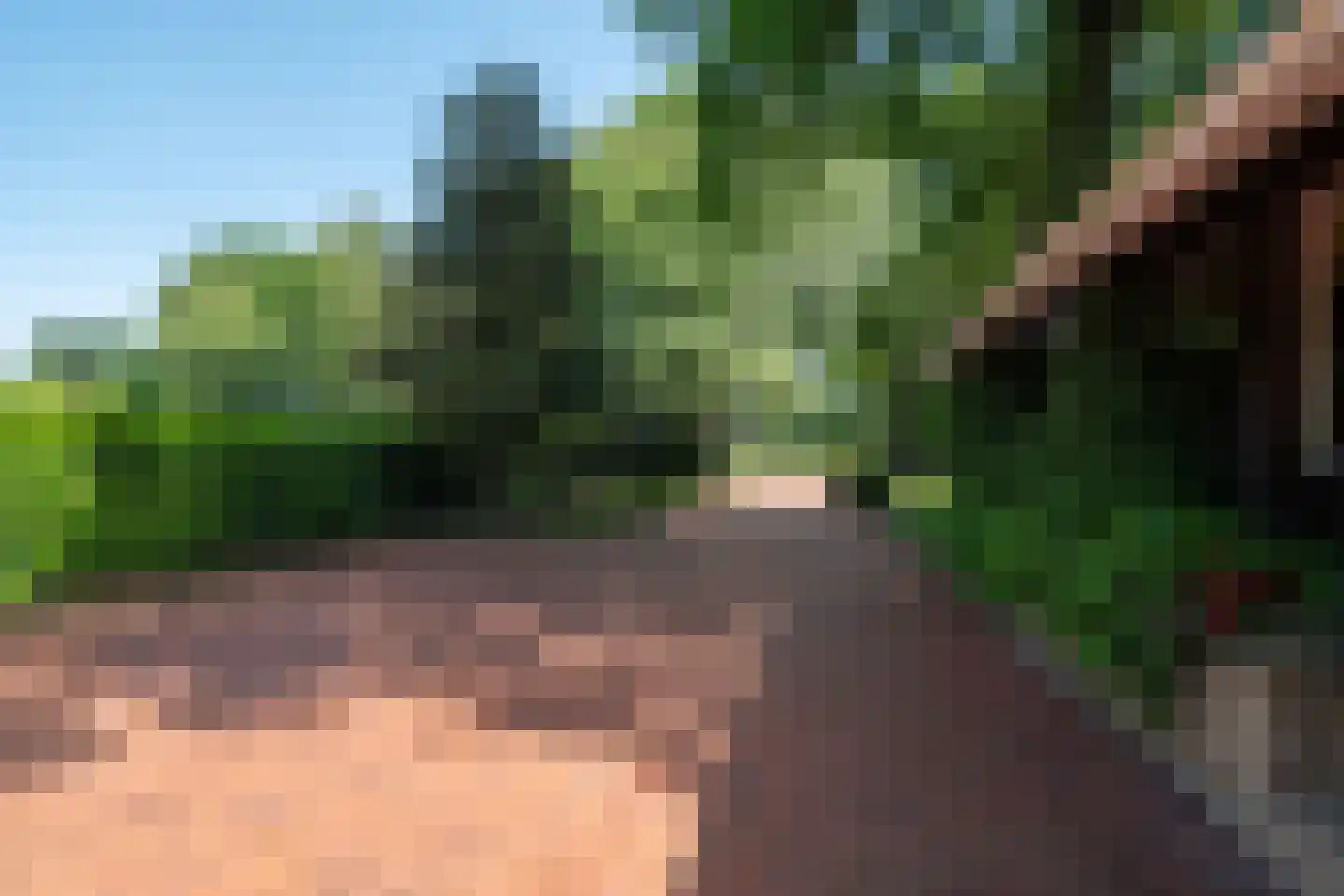 1e Pallertweg 24 Bourtange thumbnail 65