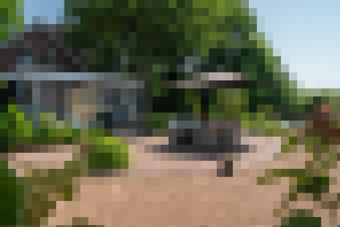 1e Pallertweg 24 Bourtange thumbnail 68