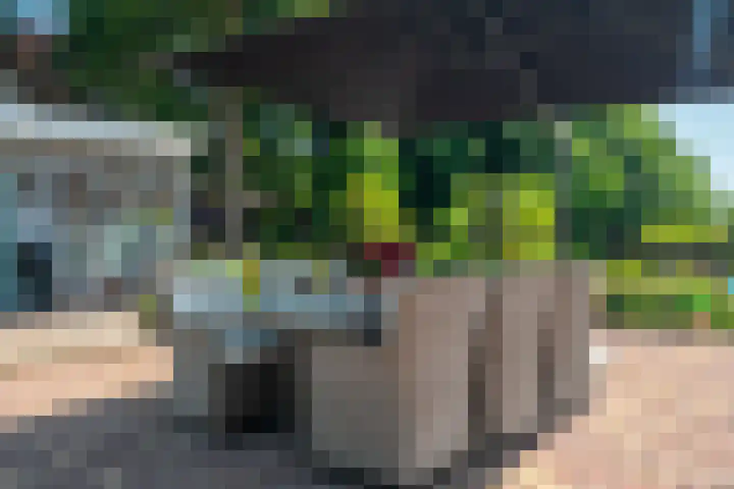 1e Pallertweg 24 Bourtange thumbnail 69