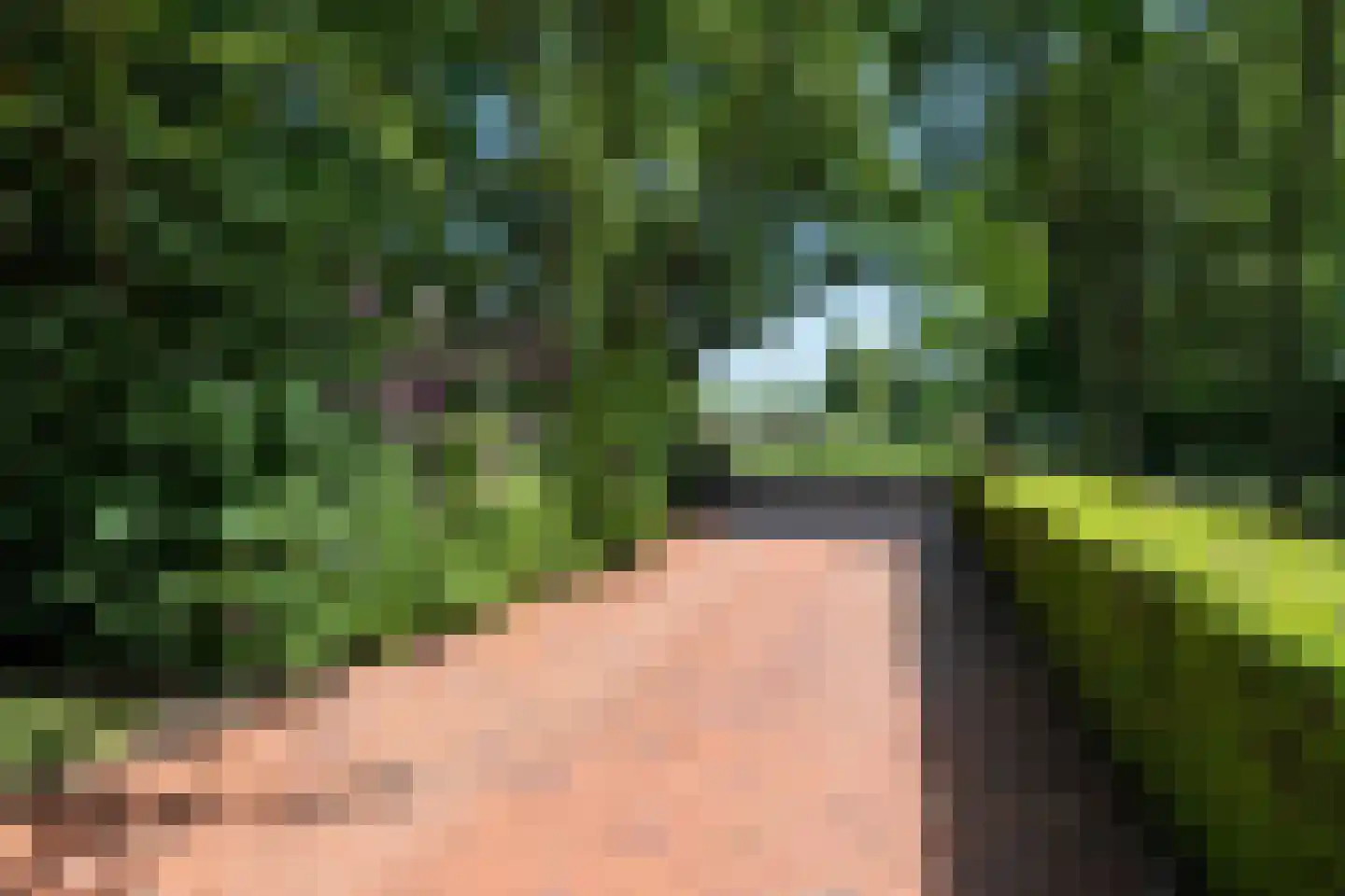 1e Pallertweg 24 Bourtange thumbnail 7
