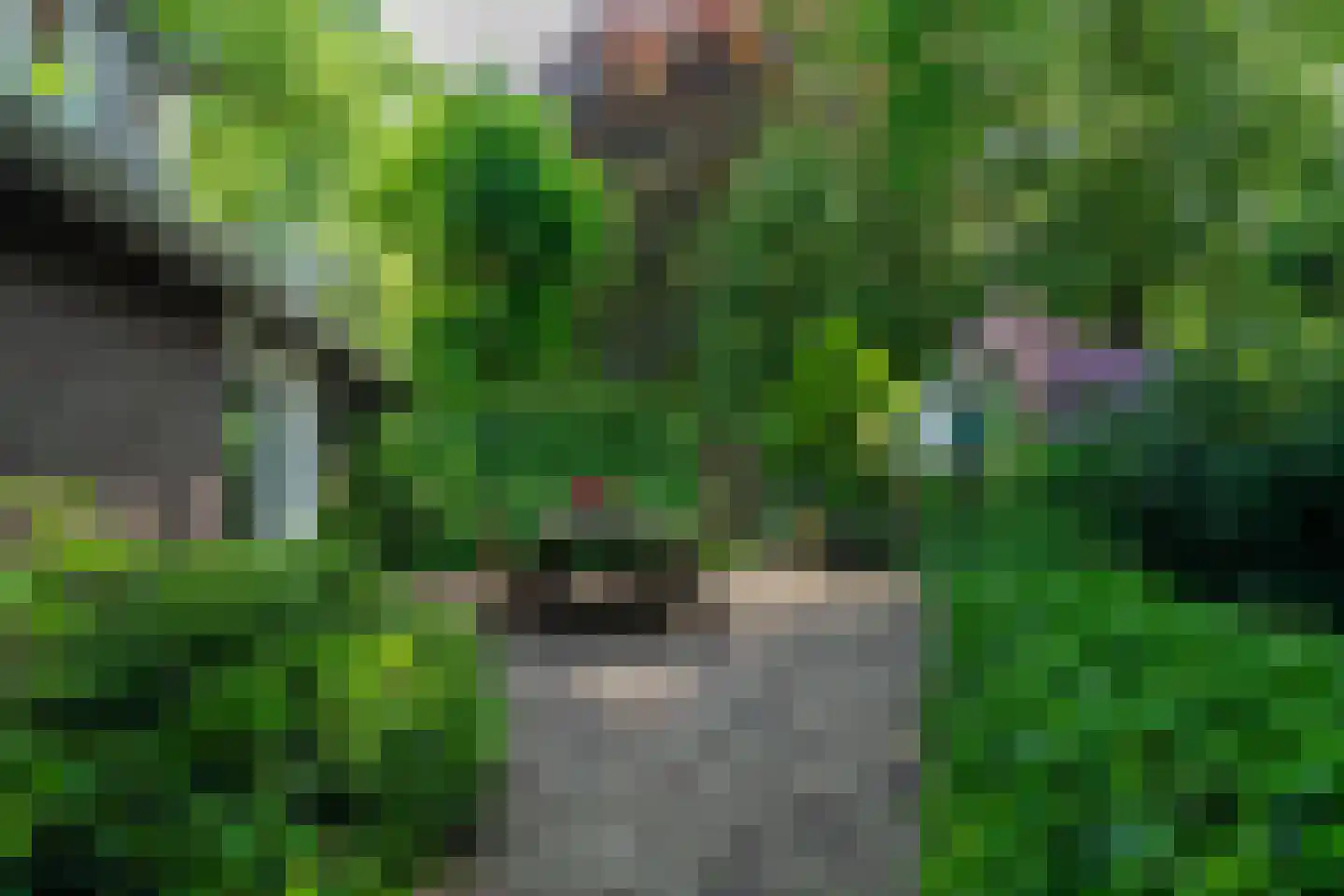 1e Pallertweg 24 Bourtange thumbnail 74